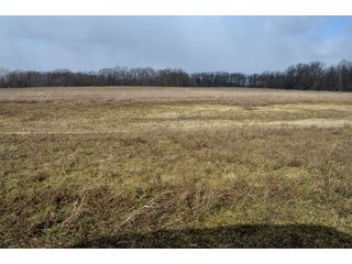Property photo 72 - 127 Acres Offered in 8 Tracts - Allen & Dekalb County Land